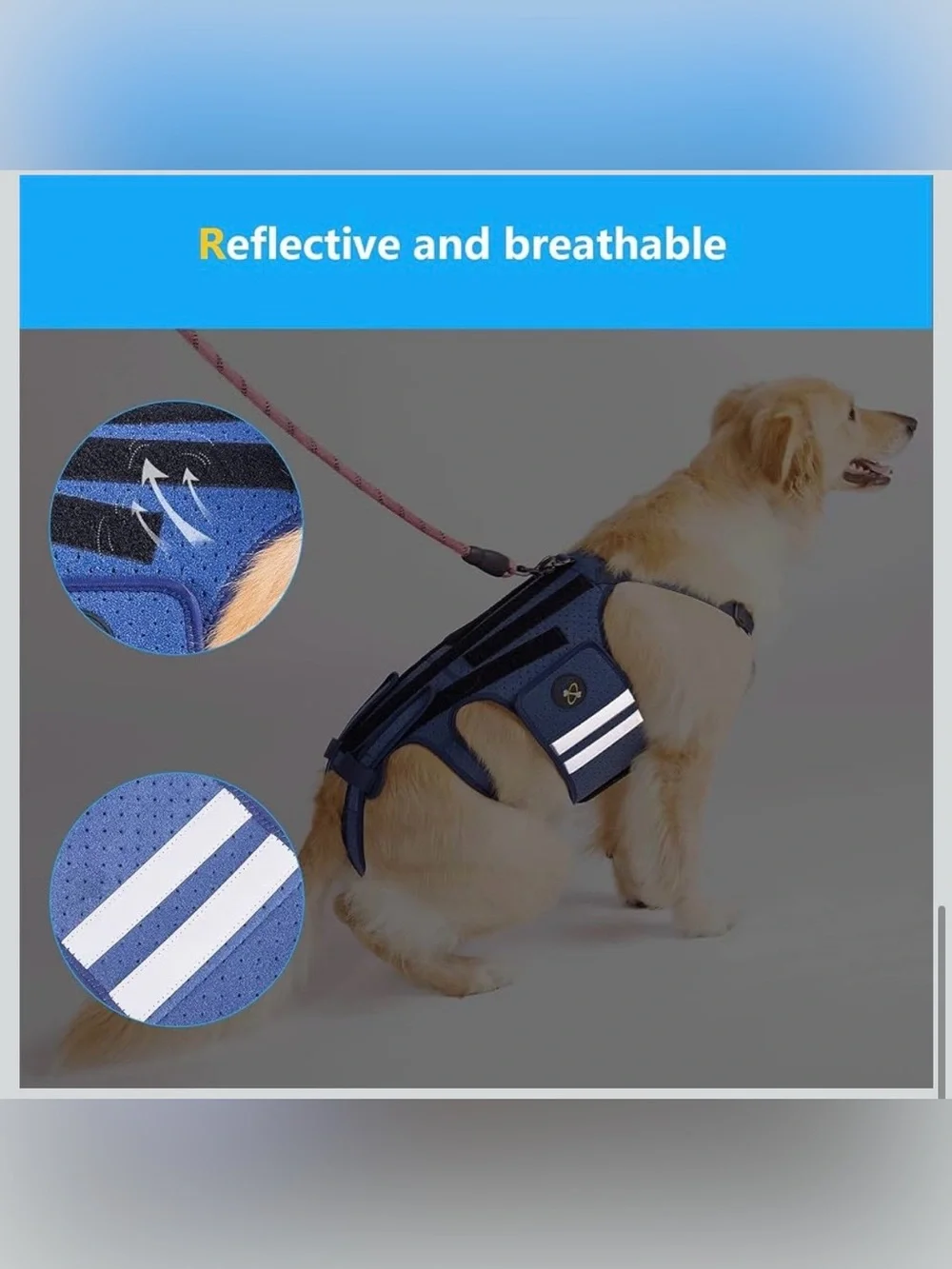 Dog Back Brace for  Arthritis, Pet Back Bracer for IVDD Back Protect 2188-1